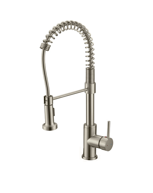 Spring Kitchen Faucet